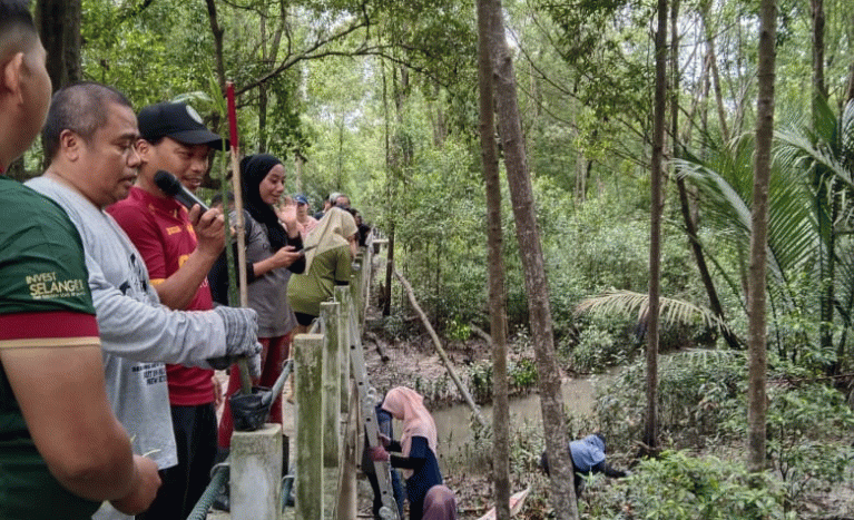 PROGRAM PENANAMAN POKOK BAKAU BERSAMA KELAB BELIA PRIHATIN SEMPENA KEMPEN PENGHIJAUAN SELANGOR 