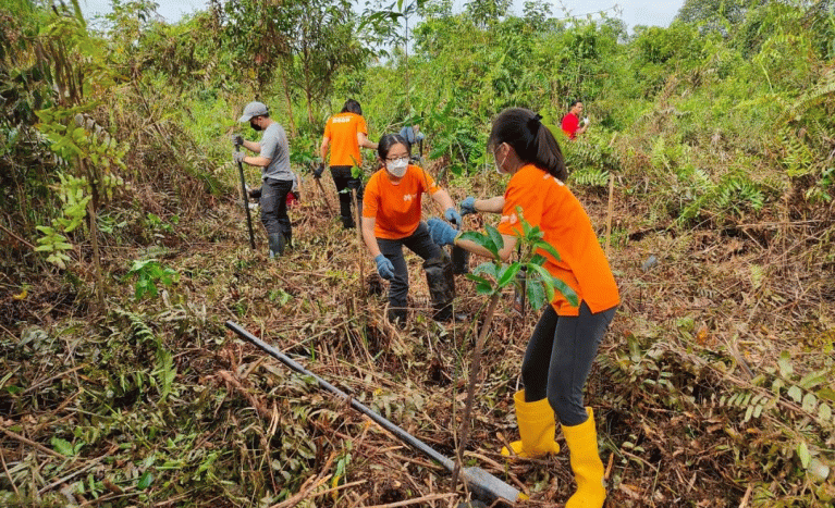 90 sukarelawan tanam 350 pokok di Hutan Simpan Raja Musa